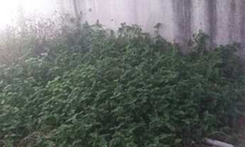 Imagem 7: Próximo ao centro de Araruama