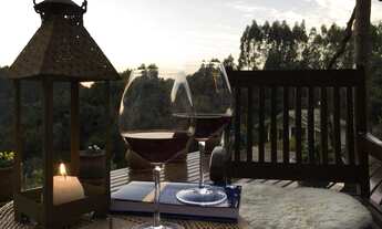 Imagem 6: Maravilhosa chácara com área total de 48.792 m²e com benfeitorias em Campo Alegre/SC