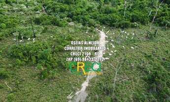 Imagem 7: 32 Alqueires Machadinho-RO