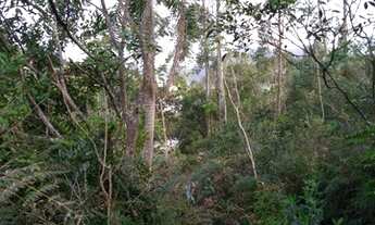 Imagem 4: Lotes / terrenos