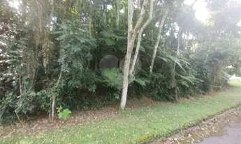 Imagem 7: Terreno no Alpes da Cantareira