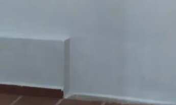 Imagem 3: Alugo casa excelente localização