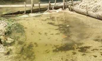 Imagem: Sitio muitas fruteira 100×600