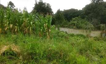 Imagem 4: Lote de terreno Terreno / lote com venda por R$29.000