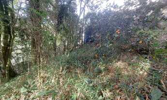 Imagem 5: Casa de condomínio para venda possui 430 metros quadrados com 2 quartos