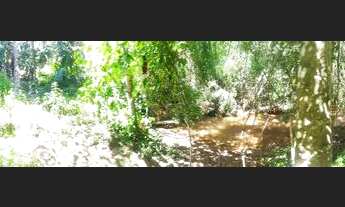 Imagem 2: Chácara a venda