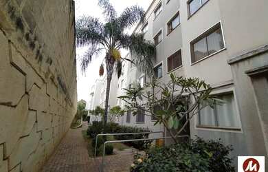 Imagem 6: Apartamento (tipo - padrao) 2 dormitórios/suite, cozinha planejada, portaria 24hs, em cond