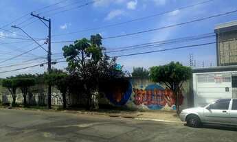 Imagem 7: Terreno de 750m² a Venda na Vila Curuçá