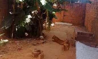 Imagem 2: Casa a venda Casa com 3 dormitórios