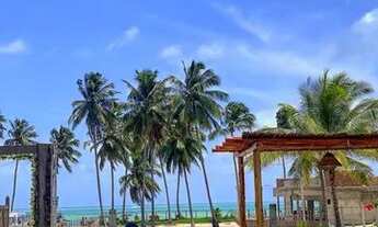 Imagem 5: MARAGOGI ALAGOAS