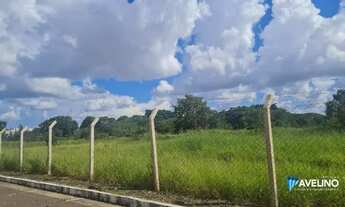 Imagem 2: Area Cônsul Assaf Trad