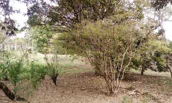 Imagem 3: Oportunidade terreno 5.000mts