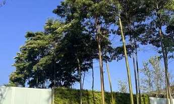 Imagem: Terreno - Loteamento Residencial Pedra Alta