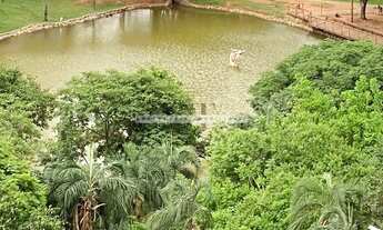 Imagem 3: Apartamento com 4 suites no Jardim Goiás - Goiânia - GO