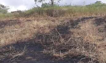 Imagem 3: Lotes em Conceição da feira