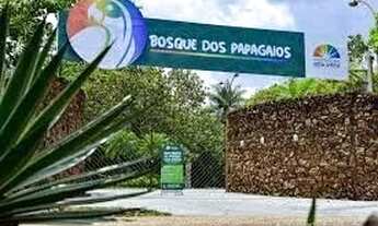 Imagem: Vende-se Casa no Paraviana