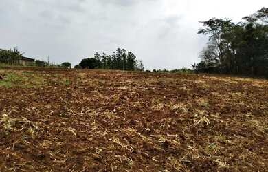 Imagem 4: CHACARA entre Paiçandu e Água Boa