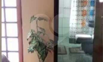 Imagem 6: Casa-São Paulo-HORTO