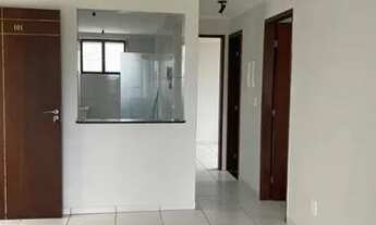 Imagem 3: Jardim camboinha