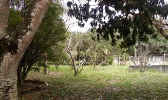 Imagem 5: Oportunidade terreno 5.000mts