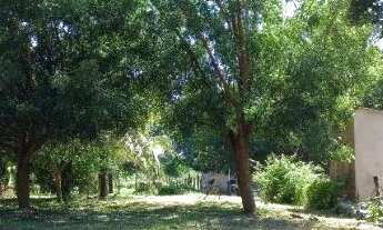 Imagem 5: Terreno em Santo Antônio de Leverger