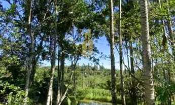 Imagem 2: Sítio em Escalvadinhos - Navegantes