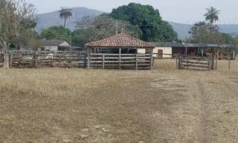 Imagem 2: Vendo fazenda com 1.169 hectaresem Buritis-MG