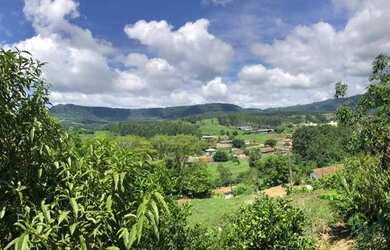 Imagem 5: Vende ou troca-se mini sítio em presidente Getúlio