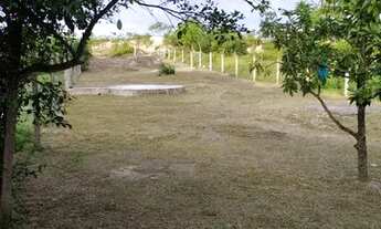 Imagem 2: Casa com terreno de 770m²