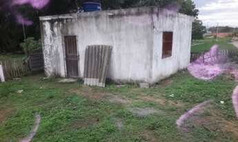 Imagem 4: Casa com quintal em feu rosa