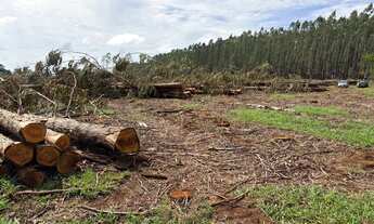Imagem 2: Vendo Chácara Chácara com venda por R$560.000