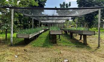 Imagem 5: Sítio com piscicultura Rod. Manoel Urbano, KM 53 AM070