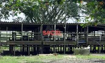 Imagem 2: Chácara ampla com casas - Nossa Senhora das Dores/SE