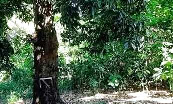 Imagem 3: Terreno à venda, 2640 m² por R$ 2.600.000 - Vila Valqueire - Rio de Janeiro/RJ