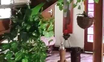 Imagem 5: Casa de condomínio em Alameda dos Pombos - Condomínio Vale do Ouro - Ribeirão das Neves/MG