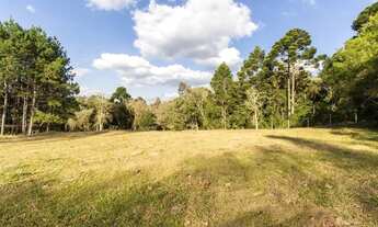 Imagem 2: Chácara 20.400m² - Campo Largo da Roseira em SJP