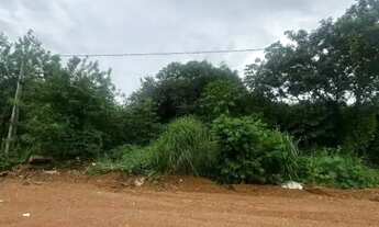 Imagem 5: LOTE A VENDA NO SETOR INDUSTRIAL 512 SUL EM FRENTE AO PARQUE CESAMAR