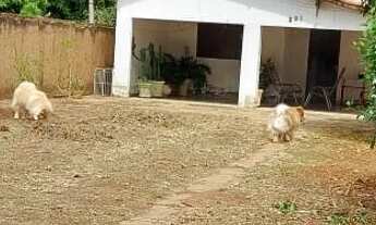 Imagem 7: Casa com 3 quartos em terreno com 400m2 - ótima localização em Guararapes