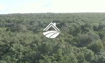 Imagem 5: Fazenda para Venda em São Luís, MATOPIBA