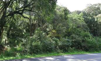 Imagem 3: 3 Lotes sendo dois de 20.000 m² e um de 26.000 m² a partir de R$ 1.500.000 Ferraria Ca