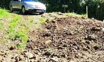 Imagem 2: Terreno para Venda em Picada Café, Picada Holanda