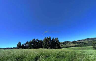 Imagem 11: Fazenda à venda, 907500 m² por R$ 8.000.000 100% regularizada - Guaraniaçu/PR