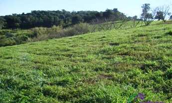 Imagem 7: SÍTIO - SOARES - SP