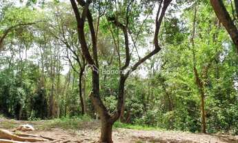 Imagem 2: Terreno no Loteamento Caminhos De San Conrado, à venda, Loteamento Caminhos de San Conrado
