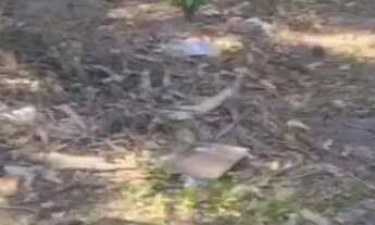 Imagem 6: VENDE-SE TERRENO EM BOMFIM!