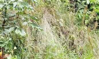 Imagem 2: Lote em Condomínio à venda, Canto da Mata - Nova Lima/MG