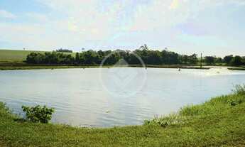 Imagem 15: Chácara Completa e Produtiva 7,2 Alqueires com 9 Açudes de Tilápias e Potencial para Lote