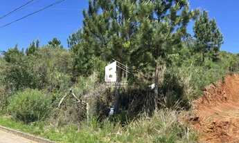 Imagem 2: TERRENO A VENDA NO MONTE BÉRICO