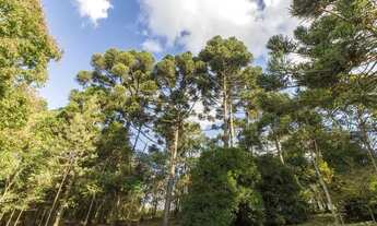 Imagem 5: Chácara 20.400m² - Campo Largo da Roseira em SJP