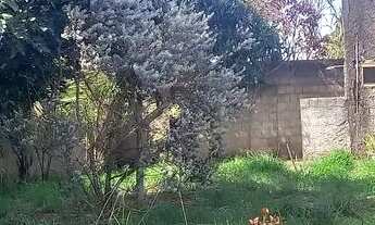 Imagem 5: Casa em terreno de 960 mtrs